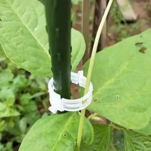 Plant Support Clips