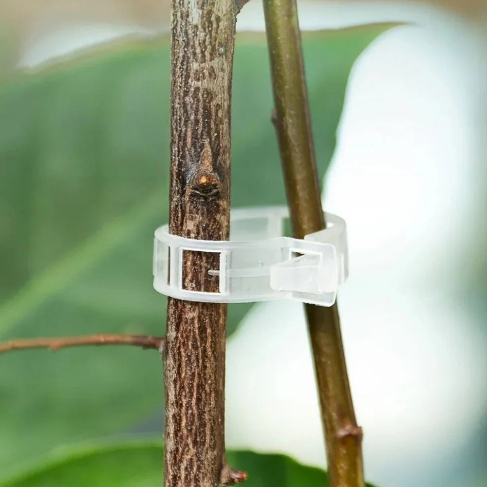 Plant Support Clips