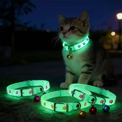 Glowing Pet Collar