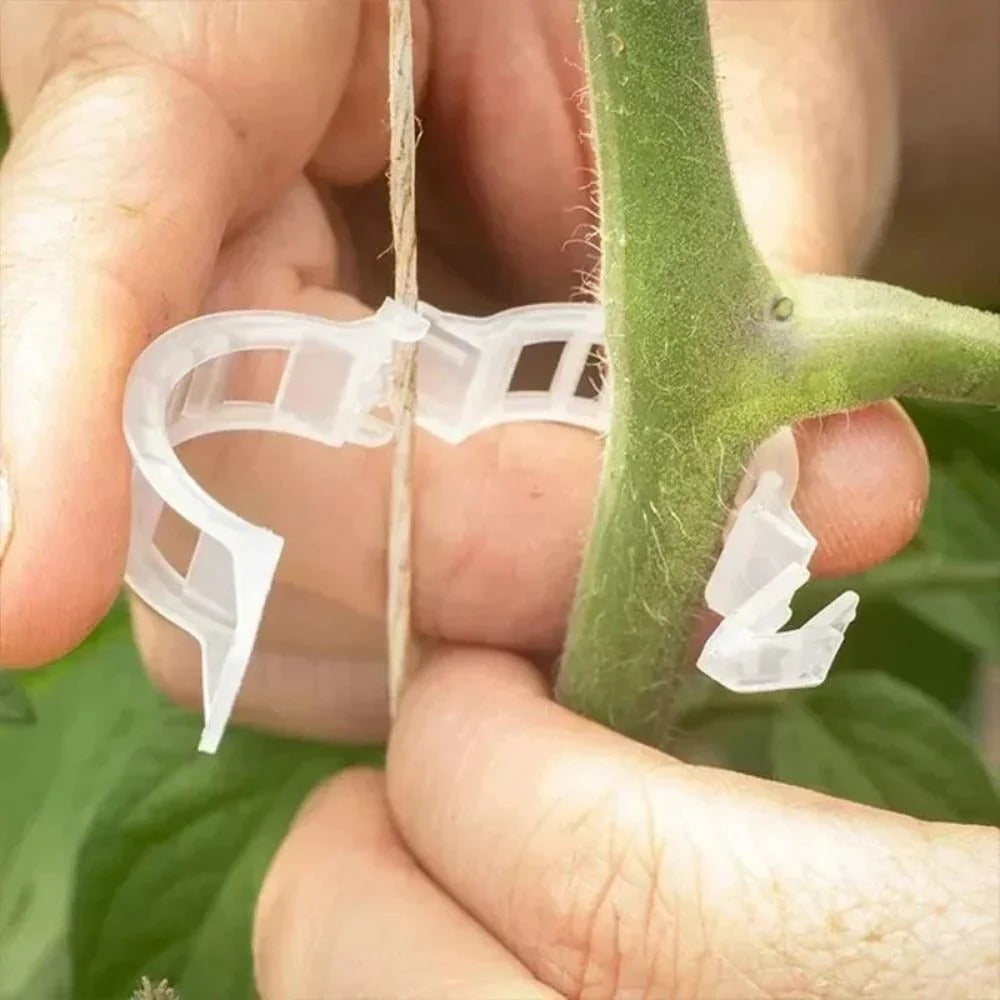 Plant Support Clips