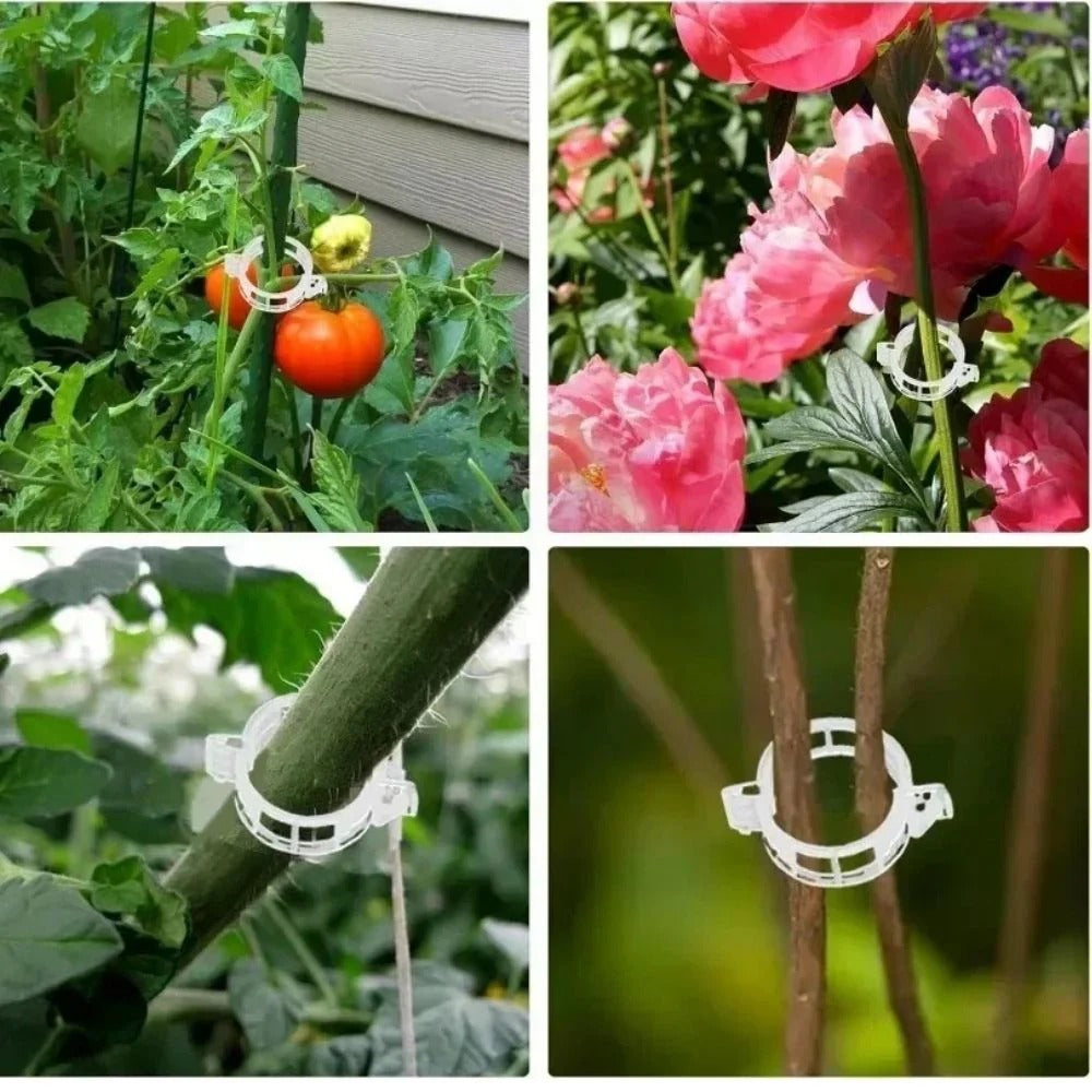 Plant Support Clips